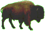 BISON DEFINITION