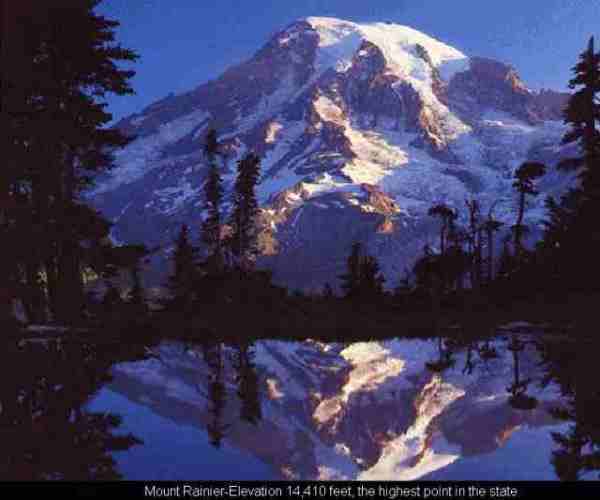 Mount Rainer Elevation