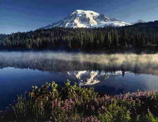 Mount Rainer viewed from south